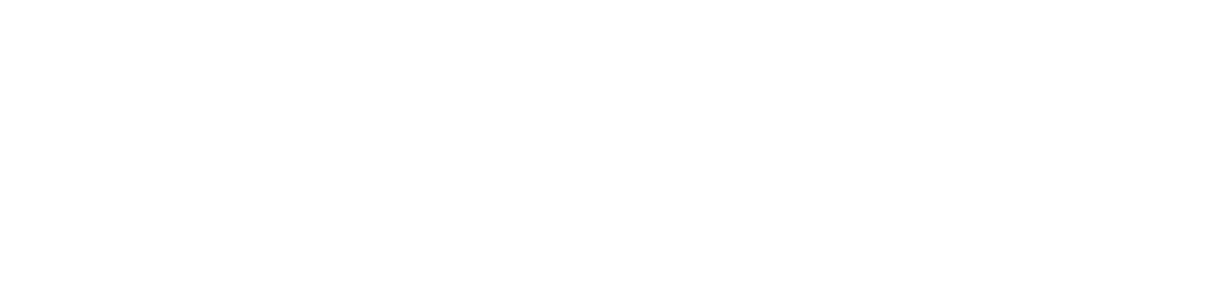 Big Brands, Inc.